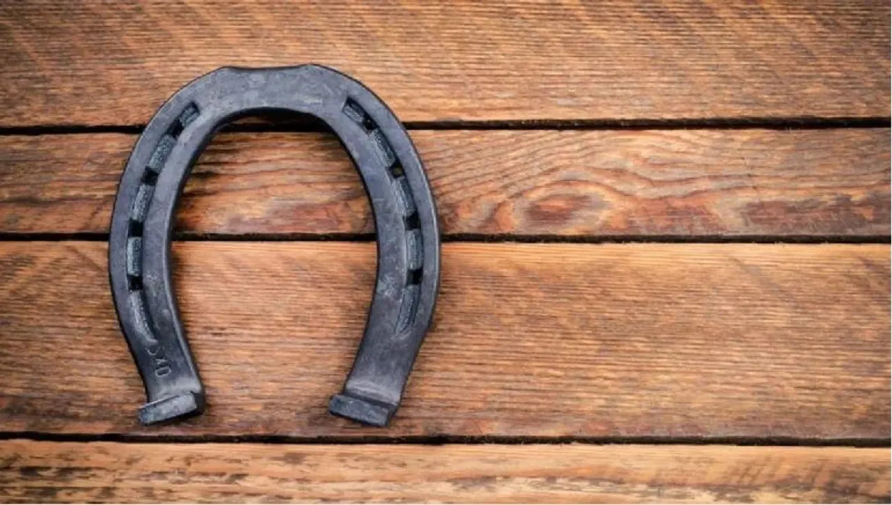 ਭਾਰਤ ਵਿੱਚ ਵਾਸਤੂ ਸ਼ਾਸਤਰ ਦਾ ਬਹੁਤ ਮਹੱਤਵ ਹੈ। ਬਹੁਤ ਸਾਰੇ ਲੋਕ ਵਾਸਤੂ ਸ਼ਾਸਤਰ ਦੇ ਸਿਧਾਂਤਾਂ ਨੂੰ ਧਿਆਨ ਵਿੱਚ ਰੱਖ ਕੇ ਆਪਣੇ ਘਰ ਬਣਾਉਂਦੇ ਹਨ। ਇਸੇ ਤਰ੍ਹਾਂ, ਕੁਝ ਲੋਕ ਵਾਸਤੂ ਸ਼ਾਸਤਰ ਦੇ ਸਿਧਾਂਤਾਂ ਅਨੁਸਾਰ ਘਰੇਲੂ ਚੀਜ਼ਾਂ ਵੀ ਬਣਾਉਂਦੇ ਹਨ। ਵਾਸਤੂ ਸ਼ਾਸਤਰ ਵਿੱਚ ਘਰ ਨਿਰਮਾਣ ਲਈ ਕਈ ਨਿਯਮ ਹਨ।