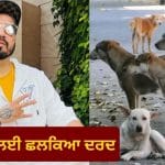 ਆਵਾਰਾ ਕੁੱਤਿਆਂ ਦੇ ਲਈ 10 ਏਕੜ ਜ਼ਮੀਨ ਦੇਣ ਲਈ ਤਿਆਰ ਮੀਕਾ ਸਿੰਘ, ਸੁਪਰੀਮ ਕੋਰਟ ਨੂੰ ਕੀਤੀ ਵਿਸ਼ੇਸ਼ ਅਪੀਲ