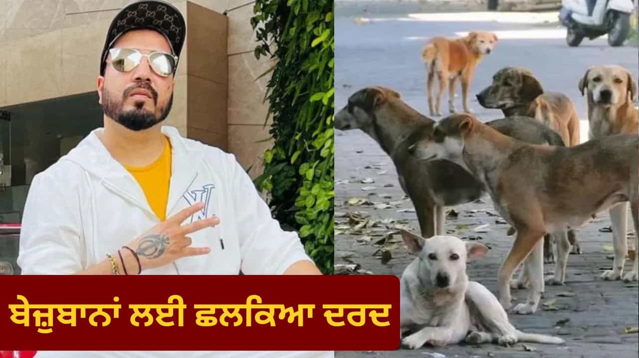 ਆਵਾਰਾ ਕੁੱਤਿਆਂ ਦੇ ਲਈ 10 ਏਕੜ ਜ਼ਮੀਨ ਦੇਣ ਲਈ ਤਿਆਰ ਮੀਕਾ ਸਿੰਘ, ਸੁਪਰੀਮ ਕੋਰਟ ਨੂੰ ਕੀਤੀ ਵਿਸ਼ੇਸ਼ ਅਪੀਲ