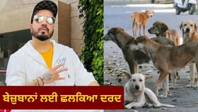 ਆਵਾਰਾ ਕੁੱਤਿਆਂ ਦੇ ਲਈ 10 ਏਕੜ ਜ਼ਮੀਨ ਦੇਣ ਲਈ ਤਿਆਰ ਮੀਕਾ ਸਿੰਘ, ਸੁਪਰੀਮ ਕੋਰਟ ਨੂੰ ਕੀਤੀ ਵਿਸ਼ੇਸ਼ ਅਪੀਲ...