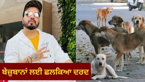 ਆਵਾਰਾ ਕੁੱਤਿਆਂ ਦੇ ਲਈ 10 ਏਕੜ ਜ਼ਮੀਨ ਦੇਣ ਲਈ ਤਿਆਰ ਮੀਕਾ, SC ਨੂੰ ਕੀਤੀ ਅਪੀਲ ਆਵਾਰਾ ਕੁੱਤਿਆਂ ਦੇ ਲਈ 10 ਏਕੜ ਜ਼ਮੀਨ ਦੇਣ ਲਈ ਤਿਆਰ ਮੀਕਾ, SC ਨੂੰ ਕੀਤੀ ਅਪੀਲ