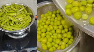 Viral Video: ਮਟਰ ਛਿੱਲਣ ਦਾ ਸਭ ਤੋਂ ਤਗੜਾ ਜੁਗਾੜ ਹੋਇਆ ਵਾਇਰਲ, ਦੇਖ ਲਈ ਟ੍ਰਿਕ ਤਾਂ ਨਹੀਂ ਕਰੋਗੋ ਬੇਕਾਰ ਦੀ ਮਿਹਨਤ