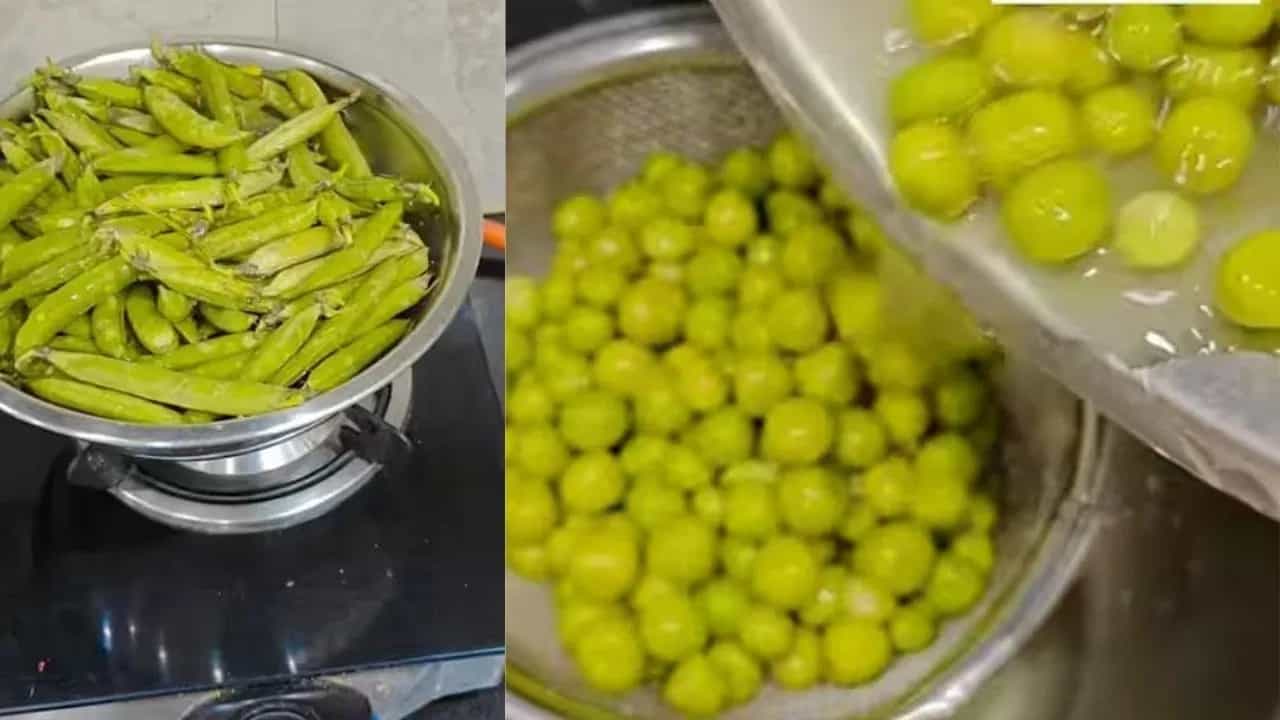 Viral Video: ਮਟਰ ਛਿੱਲਣ ਦਾ ਸਭ ਤੋਂ ਤਗੜਾ ਜੁਗਾੜ ਹੋਇਆ ਵਾਇਰਲ, ਦੇਖ ਲਈ ਟ੍ਰਿਕ ਤਾਂ ਨਹੀਂ ਕਰੋਗੋ ਬੇਕਾਰ ਦੀ ਮਿਹਨਤ