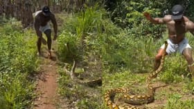 ਅਜਗਰ ਨੂੰ ਫੜਨ ਚੱਲਿਆ ਸੀ ਬੰਦਾ, ਹੋਏ ਇੰਨੇ ਅਟੈਕ ਕਿ ਛੁੱਟ ਗਏ ਪਸੀਨੇ, Video