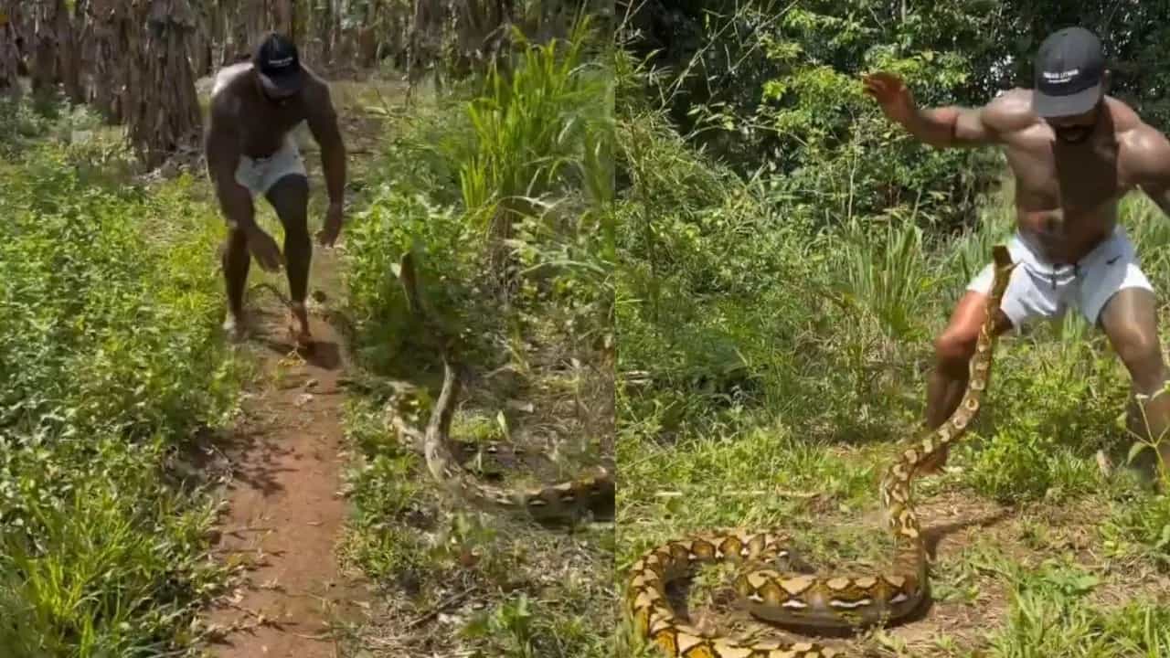 Shocking Video: ਅਜਗਰ ਨੂੰ ਫੜਨ ਚੱਲਿਆ ਸੀ ਬੰਦਾ, ਹੋਏ ਇੰਨੇ ਅਟੈਕ ਕਿ ਛੁੱਟ ਗਏ ਪਸੀਨੇ, ਵੀਡੀਓ ਦੇਖ ਕੰਬ ਜਾਵੇਗੀ ਰੂਹ Shocking Video: ਅਜਗਰ ਨੂੰ ਫੜਨ ਚੱਲਿਆ ਸੀ ਬੰਦਾ, ਹੋਏ ਇੰਨੇ ਅਟੈਕ ਕਿ ਛੁੱਟ ਗਏ ਪਸੀਨੇ, ਵੀਡੀਓ ਦੇਖ ਕੰਬ ਜਾਵੇਗੀ ਰੂਹ