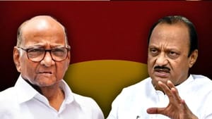 ਇਹ ਹਾਦਸਾ ਸੀ, ਇਸ ਤੇ ਸਿਆਸਤ ਨਾ ਕਰੋ... ਅਜਿਤ ਦੇ ਦੇਹਾਂਤ 'ਤੇ ਬੋਲੇ ਸ਼ਰਦ ਪਵਾਰ