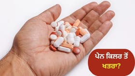 ਕੀ ਤੁਸੀਂ ਵੀ ਬਿਨਾਂ ਸੋਚੇ-ਸਮਝੇ ਖਾਂਦੇ ਹੋ ਪੇਨ ਕਿਲਰ? ਜਾਣੋ ਤੁਹਾਡੇ ਕਿਹੜੇ ਅੰਗਾਂ ਨੂੰ ਕਰ ਰਿਹਾ ਖ਼ਰਾਬ...