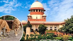 ਸੁਸਾਇਟੀ 'ਚ ਮੱਝ ਪਾਲਣੀ ਹੋਵੇ ਤਾਂ ਕੀ ਹੋਵੇਗਾ... ਸੁਪਰੀਮ ਕੋਰਟ ਵਿੱਚ ਰੋਚਕ ਬਹਿਸ