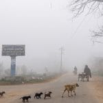 ਪੰਜਾਬ ‘ਚ ਅੱਜ ਧੁੰਦ ਤੇ ਸੀਤ ਲਹਿਰ ਦਾ ਅਲਰਟ, ਘੱਟੋ-ਘੱਟ ਤਾਪਮਾਨ 3 ਡਿਗਰੀ ਤੱਕ ਪਹੁੰਚਿਆ