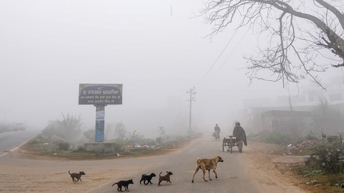 ਪੰਜਾਬ 'ਚ ਅੱਜ ਧੁੰਦ ਦਾ ਯੈਲੋ ਅਲਰਟ, ਤਾਪਮਾਨ 'ਚ ਹਲਕੀ ਗਿਰਾਵਟ