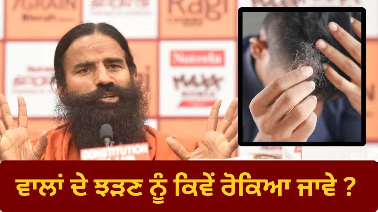 ਵਾਲਾਂ ਦੇ ਝੜਨ ਦੀ ਹੈ ਸੱਮਸਿਆ...! ਅਪਣਾਓ ਬਾਬਾ ਰਾਮਦੇਵ ਨੇ ਦੱਸੇ ਇਹ ਘਰੇਲੂ ਉਪਾਅ