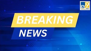 ਮਹਾਸ਼ਿਵਰਾਤਰੀ 'ਤੇ, ਦੇਸ਼ ਭਰ ਦੇ ਸ਼ਿਵ ਮੰਦਰਾਂ ਵਿੱਚ ਸ਼ਰਧਾਲੂਆਂ ਦੀ ਲੱਗੀ ਭੀੜ ਮਹਾਸ਼ਿਵਰਾਤਰੀ 'ਤੇ, ਦੇਸ਼ ਭਰ ਦੇ ਸ਼ਿਵ ਮੰਦਰਾਂ ਵਿੱਚ ਸ਼ਰਧਾਲੂਆਂ ਦੀ ਲੱਗੀ ਭੀੜ