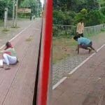 Viral Video: ਚਲਦੀ ਟ੍ਰੇਨ ਤੋਂ ਮਾਰੀ ਛਾਲ, ਫਿਰ ਜੋ ਹੋਇਆ… ਵੀਡੀਓ ਦੇਖ ਕੇ ਗੁੱਸੇ ‘ਚ ਆਏ ਲੋਕ