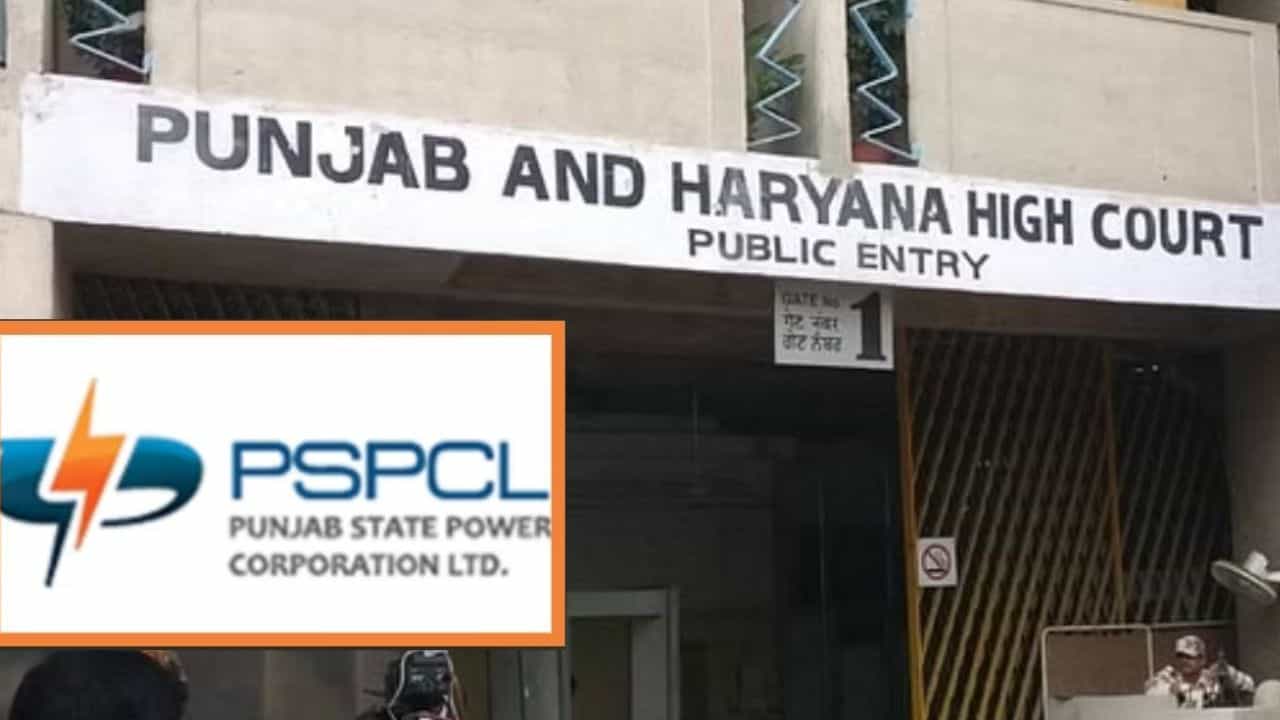 PSPCL ਦੀਆਂ ਜਾਇਦਾਦਾਂ ਨਹੀਂ ਵੇਚੀਆਂ ਜਾਣਗੀਆਂ, ਹਾਈ ਕੋਰਟ ਨੇ ਲਗਾਈ ਰੋਕ, 16 ਮਾਰਚ ਨੂੰ ਅਗਲੀ ਸੁਣਵਾਈ
