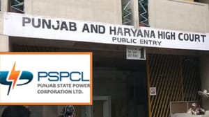 PSPCL ਦੀਆਂ ਜਾਇਦਾਦਾਂ ਨਹੀਂ ਵੇਚੀਆਂ ਜਾਣਗੀਆਂ, HC ਨੇ ਲਗਾਈ ਰੋਕ