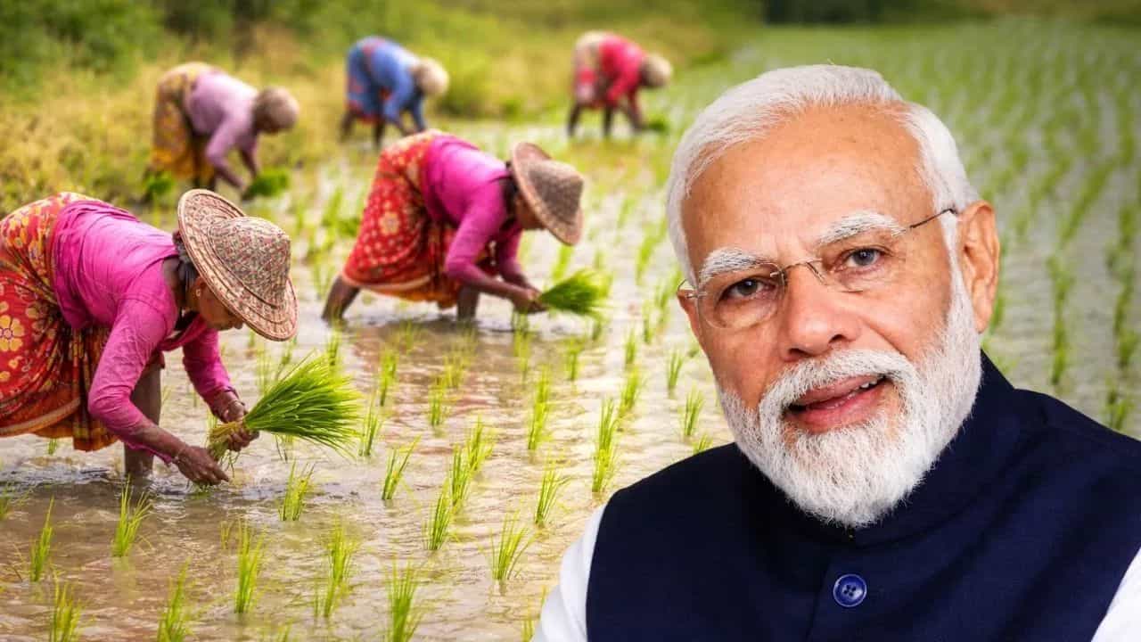 PM Kisan 22nd Installment: ਕਿਸਾਨਾਂ ਲਈ ਵੱਡੀ ਖ਼ੁਸ਼ਖਬਰੀ! ਇਸ ਦਿਨ ਆਵੇਗੀ PM ਕਿਸਾਨ ਦੀ 22ਵੀਂ ਕਿਸਤ, ਜਾਣੋ ਤਾਰੀਖ