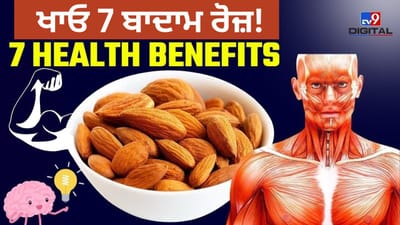 ਬਦਾਮ ਖਾਣ ਦੇ ਫਾਇਦੇ: ਭਿੱਜੇ ਬਦਾਮ ਸੁੱਕੇ ਬਦਾਮ ਨਾਲੋਂ ਕਿਉਂ ਵਧੀਆ?