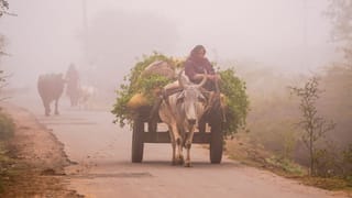 ਪੰਜਾਬ ‘ਚ ਧੁੰਦ ਦਾ ਕਹਿਰ, ਸ਼ਾਮ ਨੂੰ 15 ਜ਼ਿਲ੍ਹਿਆਂ ਵਿੱਚ ਲਈ ਅਲਰਟ ਜਾਰੀ; ਚੰਡੀਗੜ੍ਹ ਵਿੱਚ ਵਧੀ ਠੰਢ