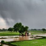 ਪੰਜਾਬ ‘ਚ ਅੱਜ ਬਾਰਿਸ਼ ਦੀ ਭਵਿੱਖਬਾਣੀ, ਕੱਲ੍ਹ ਤੂਫ਼ਾਨ ਦਾ ਅਲਰਟ; ਤਾਪਮਾਨ ਆਮ ਦੇ ਕਰੀਬ