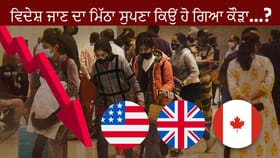 ਜਾਗਣ ਲੱਗਿਆ ‘ਵਤਨ ਦੀ ਮਿੱਟੀ’ ਨਾਲ ਪਿਆਰ…ਪੰਜਾਬੀਆਂ ਦਾ ਵਿਦੇਸ਼ ਜਾਣ ਦਾ ਮਿੱਠਾ ਸੁਪਣਾ ਕਿਉਂ ਹੋ ਗਿਆ ਕੌੜਾ…? ਜਾਣੋ...