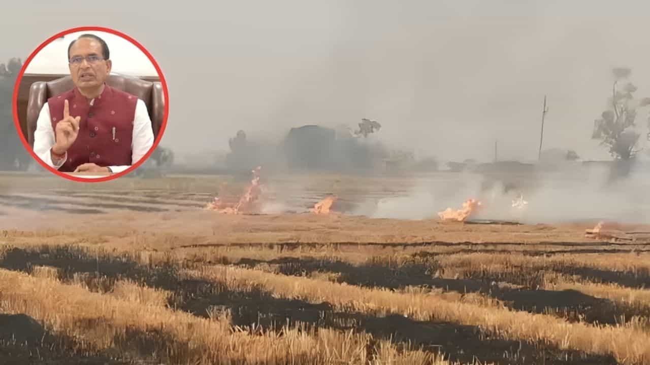 ਕੇਂਦਰੀ ਖੇਤੀਬਾੜੀ ਮੰਤਰੀ ਸ਼ਿਵਰਾਜ ਸਿੰਘ ਚੌਹਾਨ ਦਾ ਵੱਡਾ ਬਿਆਨ, ਪ੍ਰਦੂਸ਼ਣ ਲਈ ਕਿਸਾਨ ਜ਼ਿੰਮੇਵਾਰ ਨਹੀਂ ਕੇਂਦਰੀ ਖੇਤੀਬਾੜੀ ਮੰਤਰੀ ਸ਼ਿਵਰਾਜ ਸਿੰਘ ਚੌਹਾਨ ਦਾ ਵੱਡਾ ਬਿਆਨ, ਪ੍ਰਦੂਸ਼ਣ ਲਈ ਕਿਸਾਨ ਜ਼ਿੰਮੇਵਾਰ ਨਹੀਂ