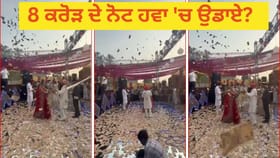 Viral Video: ਤਰਨਤਾਰਨ ਦੀ ਸ਼ਾਹੀ ਵੈਡਿੰਗ ‘ਚ ਲਾੜੇ-ਲਾੜੀ ‘ਤੇ ਲੁਟਾਏ ਸਨ 8 ਕਰੋੜ ਦੇ ਨੋਟ! ਵਾਇਰਲ Video ਦਾ ਹੈਰਾਨ ਕਰਨ ਵਾਲਾ ਸੱਚ...