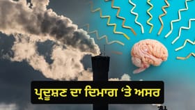 ਵਧਦਾ ਹਵਾ ਪ੍ਰਦੂਸ਼ਣ ਲੋਕਾਂ ਨੂੰ ਬਣਾ ਰਿਹਾ ਹੈ ਇਸ ਦਿਮਾਗੀ ਬਿਮਾਰੀ ਦਾ ਸ਼ਿਕਾਰ, ਰਿਸਰਚ ਦਾ ਦਾਅਵਾ...