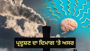 ਵਧਦਾ ਹਵਾ ਪ੍ਰਦੂਸ਼ਣ ਲੋਕਾਂ ਨੂੰ ਬਣਾ ਰਿਹਾ ਹੈ ਇਸ ਦਿਮਾਗੀ ਬਿਮਾਰੀ ਦਾ ਸ਼ਿਕਾਰ