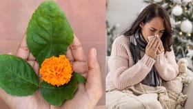 ਸਿਰਫ਼ ਪੂਜਾ ਹੀ ਨਹੀਂ, ਸਿਹਤ ਲਈ ਵੀ 'ਅੰਮ੍ਰਿਤ' ਹੈ ਬੇਲ ਪੱਤਰ; ਜਾਣੋ ਫ਼ਾਇਦੇ