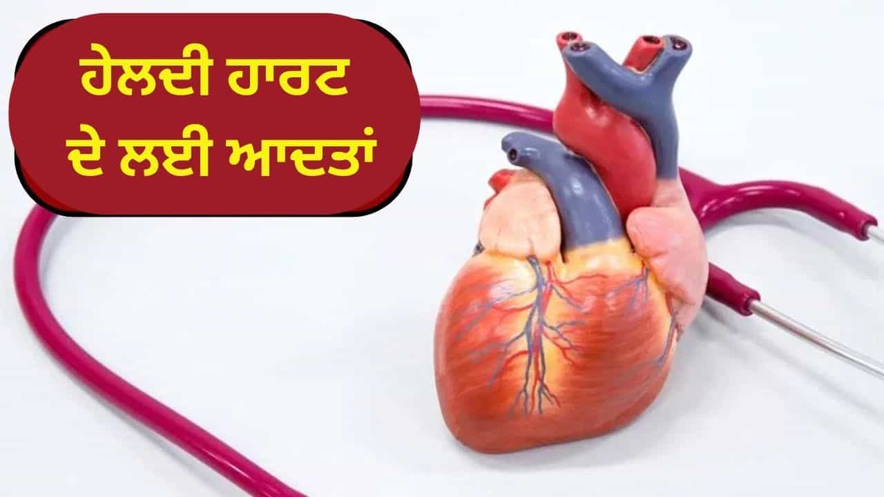 ਮਜ਼ਬੂਤ ਦਿਲ ਲਈ ਸਵੇਰੇ ਉੱਠਦੇ ਹੀ ਕਰੋ ਇਹ ਕੰਮ, ਬਲੱਡ ਪ੍ਰੈਸ਼ਰ ਅਤੇ ਕੋਲੇਸਟ੍ਰੋਲ ਰਹੇਗਾ ਕੰਟਰੋਲ