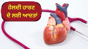 ਮਜ਼ਬੂਤ ਦਿਲ ਲਈ ਸਵੇਰੇ ਕਰੋ ਇਹ ਕੰਮ, BP ਅਤੇ ਕੋਲੇਸਟ੍ਰੋਲ ਰਹੇਗਾ ਕੰਟਰੋਲ