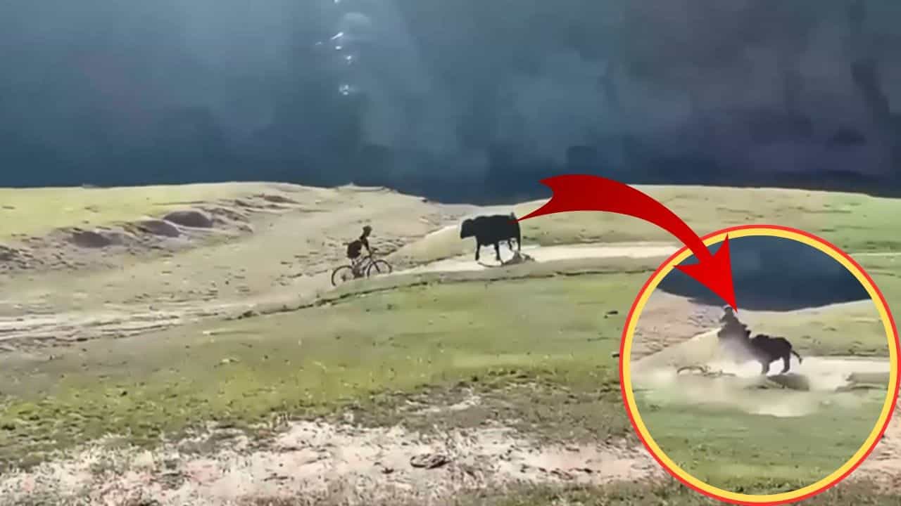 Viral Video: ਸਾਈਕਲ ਸਵਾਰ ਨੂੰ ਦੇਖਦੇ ਹੀ ਭੜਕਿਆ ਸਾਂਡ, ਖ਼ਤਰਨਾਕ ਤਰੀਕੇ ਨਾਲ ਕੀਤਾ ਹਮਲਾ, ਦੇਖੋ ਹੈਰਾਨ ਕਰਨ ਵਾਲੀ ਵੀਡੀਓ Viral Video: ਸਾਈਕਲ ਸਵਾਰ ਨੂੰ ਦੇਖਦੇ ਹੀ ਭੜਕਿਆ ਸਾਂਡ, ਖ਼ਤਰਨਾਕ ਤਰੀਕੇ ਨਾਲ ਕੀਤਾ ਹਮਲਾ, ਦੇਖੋ ਹੈਰਾਨ ਕਰਨ ਵਾਲੀ ਵੀਡੀਓ