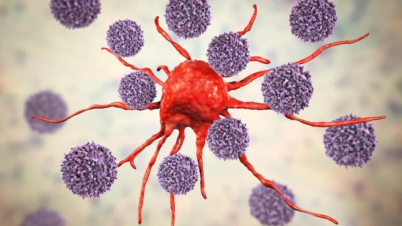 ਤੁਹਾਡੀਆਂ ਇਹ ਰੋਜ਼ਾਨਾ ਦੀਆਂ ਆਦਤਾਂ ਬਣ ਸਕਦੀਆਂ ਹਨ ਕੈਂਸਰ ਦਾ ਕਾਰਨ, ਅੱਜ ਹੀ ਬਦਲੋ ਆਪਣੀ ਜੀਵਨ ਸ਼ੈਲੀ