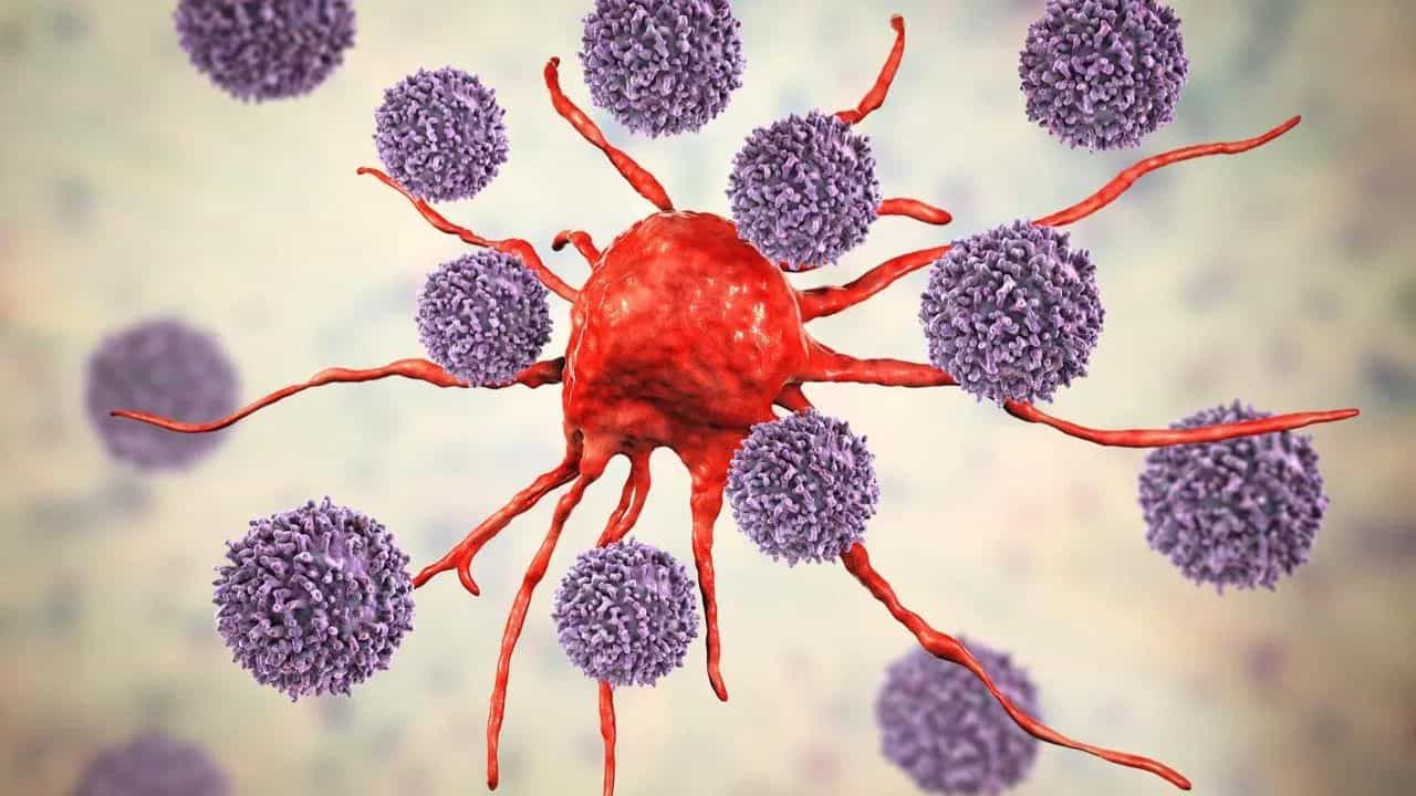 ਤੁਹਾਡੀਆਂ ਇਹ ਰੋਜ਼ਾਨਾ ਦੀਆਂ ਆਦਤਾਂ ਬਣ ਸਕਦੀਆਂ ਹਨ ਕੈਂਸਰ ਦਾ ਕਾਰਨ, ਅੱਜ ਹੀ ਬਦਲੋ ਆਪਣੀ ਜੀਵਨ ਸ਼ੈਲੀ ਤੁਹਾਡੀਆਂ ਇਹ ਰੋਜ਼ਾਨਾ ਦੀਆਂ ਆਦਤਾਂ ਬਣ ਸਕਦੀਆਂ ਹਨ ਕੈਂਸਰ ਦਾ ਕਾਰਨ, ਅੱਜ ਹੀ ਬਦਲੋ ਆਪਣੀ ਜੀਵਨ ਸ਼ੈਲੀ