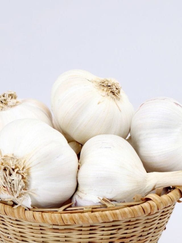 ਜਿਆਦਾ ਲਸਣ ਦੀ ਵਰਤੋਂ ਕਰਨਾ ਹੋ ਸਕਦਾ ਹੈ ਜਾਨਲੇਵਾ