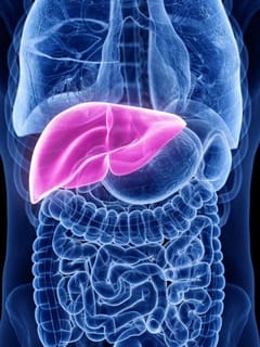 ਰੋਜ਼ਾਨਾ ਦੀਆਂ ਇਹ ਆਦਤਾਂ ਲੀਵਰ ਦੀ ਸਿਹਤ ਨੂੰ ਕਰ ਸਕਦੀਆਂ ਹਨ ਖਰਾਬ...