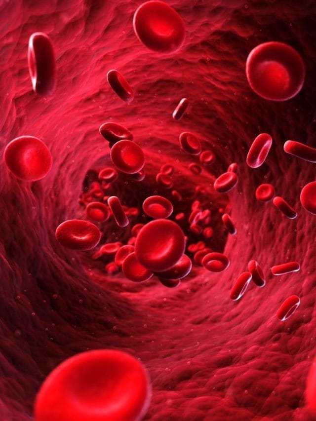 ਹੀਮੋਗਲੋਬਿਨ ਕਿਉਂ ਹੈ ਜ਼ਰੂਰੀ ? ਇਸ ਨੂੰ ਵਧਾਉਣ ਲਈ ਕੀ ਖਾਣਾ ਚਾਹੀਦਾ ਹੈ?