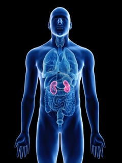 ਗੁਰਦੇ ਫੇਲ੍ਹ ਹੋਣ ਦੇ ਸ਼ੁਰੂਆਤੀ ਲੱਛਣ ਕੀ ਹਨ?...