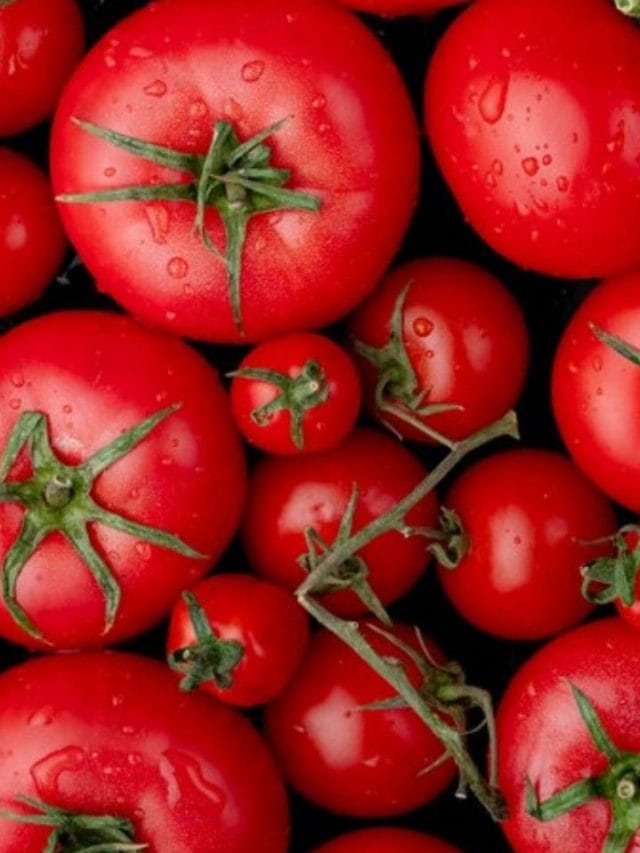 ਟਮਾਟਰ ਖਾਣ ਨਾਲ ਮਿਲਦੇ ਹਨ ਇਹ ਫਾਇਦੇ..!