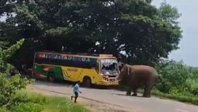 Viral Video: ਹਾਥੀ ਨਾਲ ਪੰਗਾ ਲੈਣਾ ਪਿਆ ਭਾਰੀ.. Video ਦੇਖ ਕੇ ਹੋ ਜਾਓਗੇ ਹੈਰਾਨ...