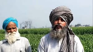 ਮੌਸਮ ਦੀ ਕਰਵਟ ਤੋਂ ਕਿਸਾਨ ਚਿੰਤਤ, ਵੱਧਦੀ ਗਰਮੀ ਨਾਲ ਕਣਕ ਦਾ ਹੋ ਸਕਦਾ ਨੁਕਸਾਨ