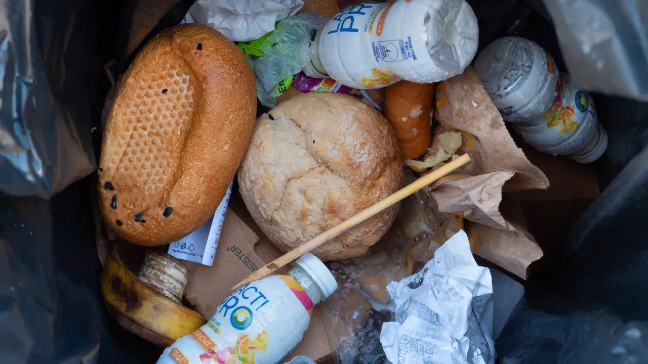 ਕੀ ਕਹਿੰਦਾ ਹੈ ਕਾਨੂੰਨ? ਫਰਾਂਸੀਸੀ ਕਾਨੂੰਨ ਕਹਿੰਦਾ ਹੈ ਕਿ ਸੁਪਰਮਾਰਕੀਟ ਨਾ ਵਿਕਣ ਵਾਲੇ ਭੋਜਨ ਨੂੰ ਸੁੱਟ ਜਾਂ ਨਸ਼ਟ ਨਹੀਂ ਕਰ ਸਕਦੇ। ਜੇਕਰ ਭੋਜਨ ਦੀ ਮਿਆਦ ਖਤਮ ਨਹੀਂ ਹੋਈ ਹੈ, ਤਾਂ ਇਹ ਗੈਰ-ਕਾਨੂੰਨੀ ਹੈ। ਮਿਆਦ ਪੁੱਗਣ ਦੀ ਤਾਰੀਖ ਤੋਂ ਬਾਅਦ ਬਚਿਆ ਭੋਜਨ ਫੂਡ ਬੈਂਕਾਂ ਅਤੇ ਚੈਰਿਟੀ ਸੰਸਥਾਵਾਂ ਨੂੰ ਦਾਨ ਕਰਨਾ ਹੋਵੇਗਾ। (ਫੋਟੋ:Wolfram Steinberg/picture alliance via Getty Images)