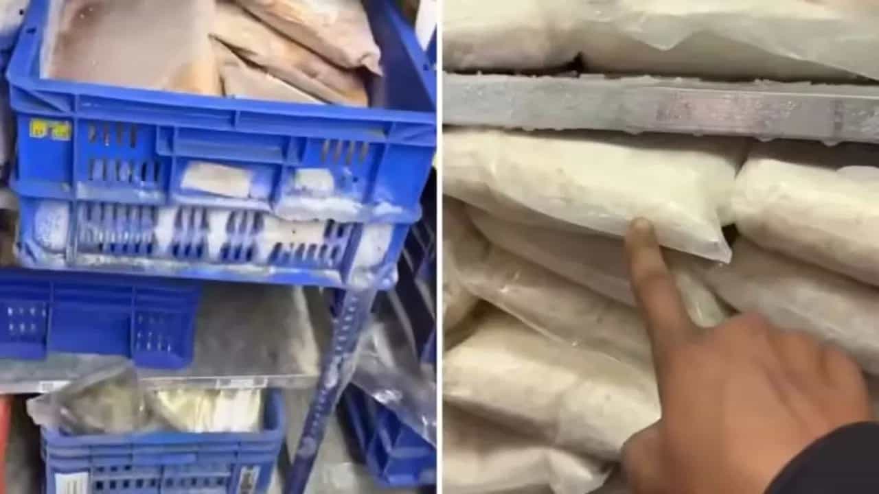 Viral Video : ਕੀ ਹੁੰਦੀ ਹੈ Frozen Food ਦੀ ਸੱਚਾਈ? ਦੇਖ ਲਵੋਗੇ ਤਾਂ ਆਰਡਰ ਕਰਨ ਤੋਂ ਪਹਿਲਾਂ 100 ਵਾਰ ਸੋਚੋਗੇ Viral Video : ਕੀ ਹੁੰਦੀ ਹੈ Frozen Food ਦੀ ਸੱਚਾਈ? ਦੇਖ ਲਵੋਗੇ ਤਾਂ ਆਰਡਰ ਕਰਨ ਤੋਂ ਪਹਿਲਾਂ 100 ਵਾਰ ਸੋਚੋਗੇ