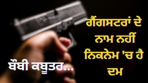 ਬੌਬੀ ਕਬੂਤਰ ਮੁੰਨਾ ਬਜਰੰਗੀ, ਗੈਂਗਸਟਰਾਂ ਨੂੰ ਕਿਵੇਂ ਮਿਲਦੇ ਹਨ ਇਹ ਦਿਲਚਸਪ ਨਾਮ?