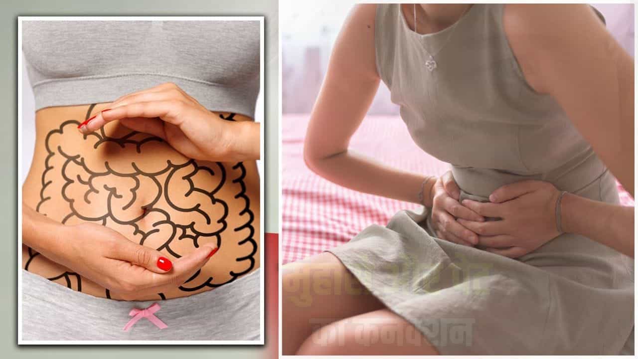 ਫਰਮੈਂਟਡ ਫੂਡ ਨਾਲ ਬੈਲੇਂਸ ਡਾਈਟ... ਇੰਝ ਪਲਾਨ ਕਰੋ ਪੂਰੇ ਦਿਨ ਦੀ ਮੀਲ, ਸੁਧਰੇਗੀ Gut Health