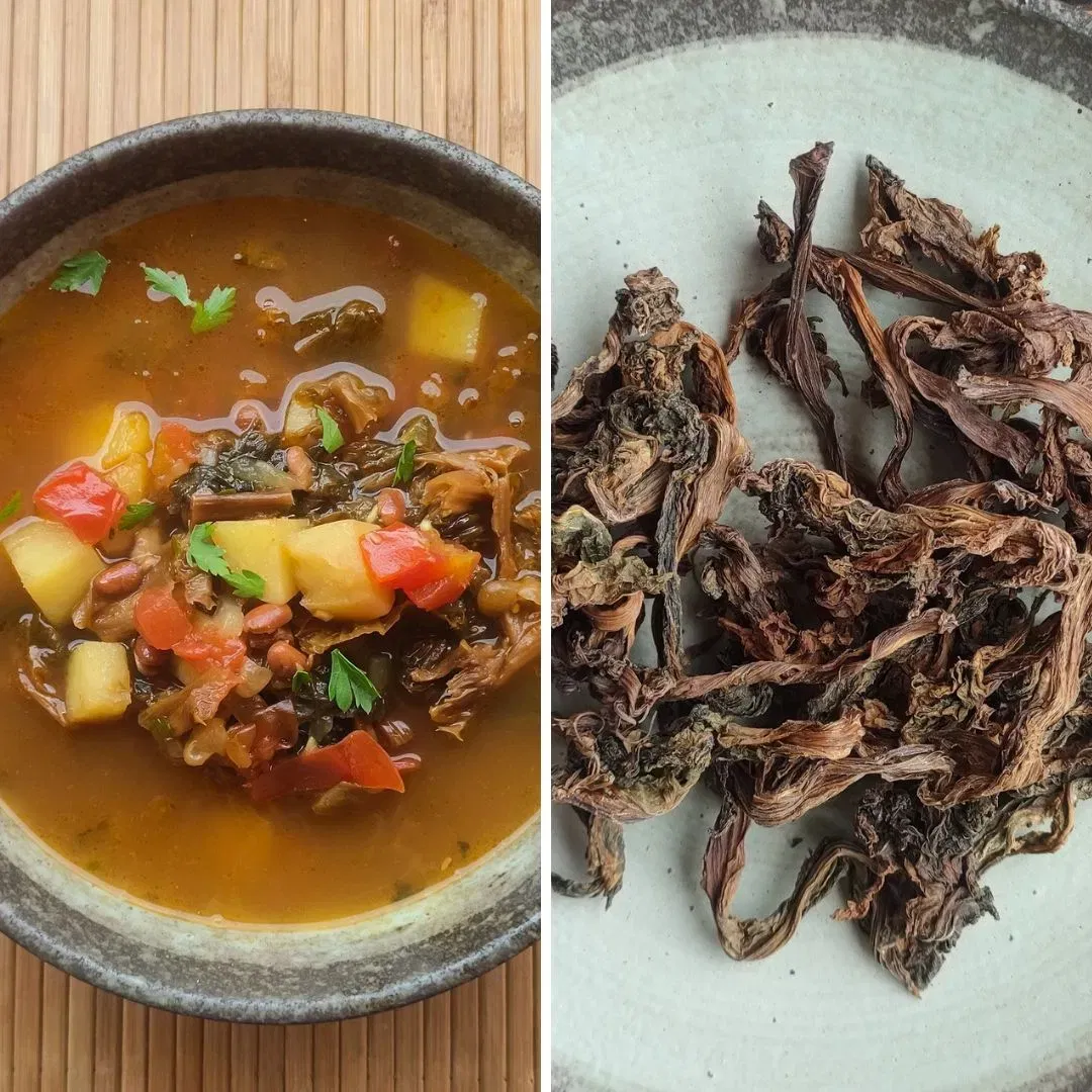 ਗੁੰਦਰੂਕ: ਹੈਲਦੀ ਫਰਮੈਟੇਡ ਭਾਰਤੀ ਡਿਸ਼ ਦੀ ਲਿਸਟ ਵਿੱਚ ਗੁੰਦਰੂਕ ਨੂੰ ਵੀ ਸ਼ਾਮਲ ਕੀਤਾ ਜਾਣਾ ਚਾਹੀਦਾ ਹੈ, ਜੋ ਕਿ ਰਵਾਇਤੀ ਤੌਰ 'ਤੇ ਹਿਮਾਲੀਅਨ ਖੇਤਰਾਂ ਵਿੱਚ ਬਣਾਇਆ ਜਾਂਦਾ ਹੈ। ਇਹ ਸਰ੍ਹੋਂ ਜਾਂ ਪੱਤੇਦਾਰ ਸਾਗ ਨੂੰ ਫਰਮੈਟੇ ਕਰਕੇ ਬਣਾਇਆ ਜਾਂਦਾ ਹੈ। ਫਿਰ ਇਸਨੂੰ ਡ੍ਰਾਈ ਕਰਕੇ ਸੂਪ ਵਿੱਚ ਐਡ ਕੀਤਾ ਜਾਂਦਾ ਹੈ ਅਤੇ ਅਚਾਰ ਦੇ ਰੂਪ ਵਿੱਚ ਪਰੋਸਿਆ ਜਾਂਦਾ ਹੈ। ਇਹ ਗੈਟ ਹੈਲਥ ਲਈ ਫਾਇਦੇਮੰਦ ਹੈ ਅਤੇ ਕਈ ਹੋਰ ਸਿਹਤ ਲਾਭ ਵੀ ਪ੍ਰਦਾਨ ਕਰਦਾ ਹੈ। (Image: atelierempervivum)