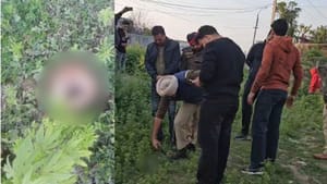 ਜਲੰਧਰ 'ਚ ਮਿਲਿਆ ਕੱਟਿਆ ਹੋਇਆ ਸਿਰ, ਚਸ਼ਮਦੀਦ ਬੋਲਿਆ- ਕੁੱਤਾ ਖਾ ਰਿਹਾ ਸੀ ਦਿਮਾਗ