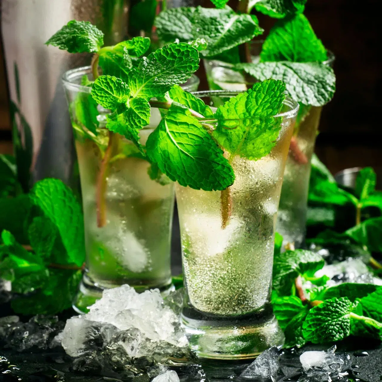 ਮਿੰਟ ਮੋਜੀਤੋ ਹੈ ਸਭ ਤੋਂ ਪਾਪੁਲਰ: ਰਿਫ੍ਰੇਸ਼ਿੰਗ ਮੌਕਟੇਲ ਦੀ ਗੱਲ ਕਰੀਏ ਤਾਂ, ਤੁਸੀਂ ਹੋਲੀ ਪਾਰਟੀ ਲਈ ਮਿੰਟ ਮੋਜੀਤੋ ਟ੍ਰਾਈ ਕਰ ਸਕਦੇ ਹੋ। ਇਹ ਸਭ ਤੋਂ ਪਾਪੁਲਰ ਮੌਕਟੇਲ ਹੈ, ਜੋ ਜ਼ਿਆਦਾਤਰ ਲੋਕਾਂ ਨੂੰ ਪਸੰਦ ਆਉਂਦਾ ਹੈ। ਇਸਦੇ ਲਈ, ਇੱਕ ਗਲਾਸ ਵਿੱਚ 8-10 ਤਾਜ਼ੇ ਪੁਦੀਨੇ ਦੇ ਪੱਤੇ, ਨਿੰਬੂ ਦੇ ਟੁਕੜੇ ਅਤੇ ਪਾਊਡਰ ਸ਼ੁਗਰ ਪਾਓ ਅਤੇ ਉਨ੍ਹਾਂ ਨੂੰ ਮਡਲਰ ਨਾਲ ਕ੍ਰਸ਼ ਕਰੋ। ਫਿਰ, ਕ੍ਰਸ਼ ਬਰਫ਼, ਸੋਡਾ, ਨਿੰਬੂ ਦਾ ਰਸ ਅਤੇ ਥੋੜ੍ਹਾ ਜਿਹਾ ਕਾਲਾ ਨਮਕ ਪਾਓ। ਚੰਗੀ ਤਰ੍ਹਾਂ ਹਿਲਾਓ ਜਾਂ ਚਮਚ ਨਾਲ ਮਿਲਾਓ। ਪੁਦੀਨਾ ਮੋਜੀਤੋ ਤਿਆਰ ਹੈ।