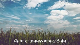 ਪੰਜਾਬ 'ਚ ਆਮ ਨਾਲੋਂ ਵੱਧ ਗਰਮੀ, ਔਸਤ ਵੱਧੋ-ਵੱਧ ਤਾਪਮਾਨ 'ਚ 4.3 ਡਿਗਰੀ ਦਾ ਵਾਧਾ