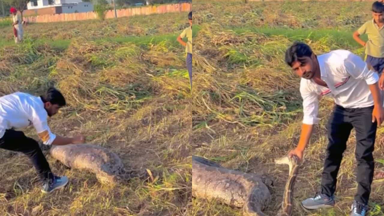 Viral Video: ਖੇਤ ਵਿੱਚ ਮਿਲਿਆ ਇੱਕ ਵਿਸ਼ਾਲ ਅਜਗਰ, ਫਿਰ ਆਦਮੀ ਨੇ ਜੋ ਹਿੰਮਤ ਦਿਖਾਈ, ਕੰਬ ਗਏ ਲੋਕੀ Viral Video: ਖੇਤ ਵਿੱਚ ਮਿਲਿਆ ਇੱਕ ਵਿਸ਼ਾਲ ਅਜਗਰ, ਫਿਰ ਆਦਮੀ ਨੇ ਜੋ ਹਿੰਮਤ ਦਿਖਾਈ, ਕੰਬ ਗਏ ਲੋਕੀ